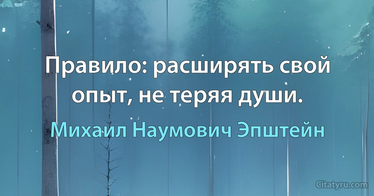 Правило: расширять свой опыт, не теряя души. (Михаил Наумович Эпштейн)