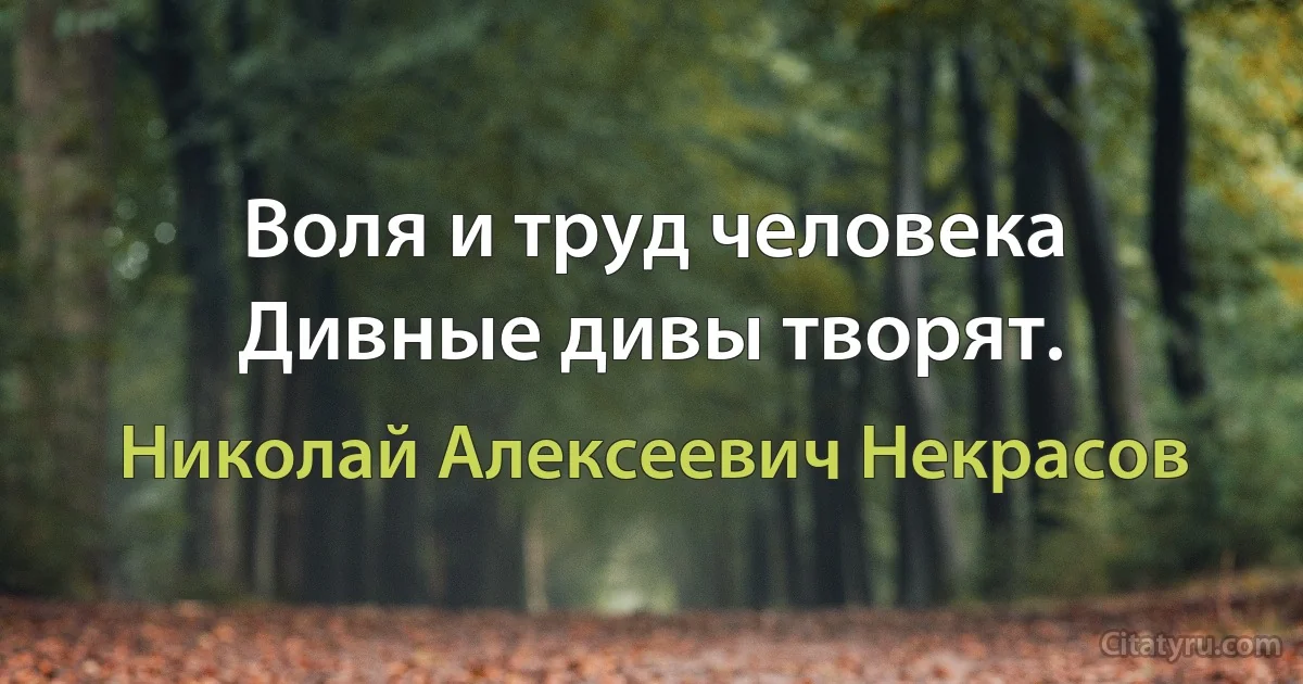 Воля и труд человека
Дивные дивы творят. (Николай Алексеевич Некрасов)