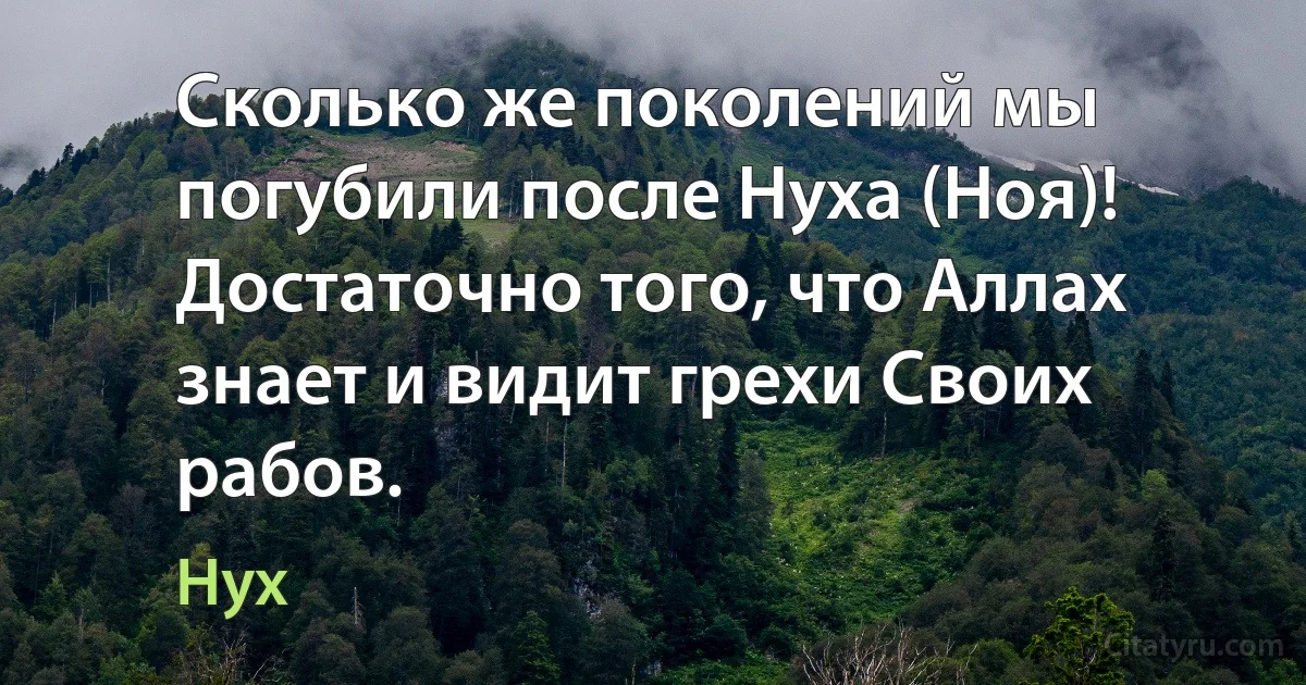 Сколько же поколений мы погубили после Нуха (Ноя)! Достаточно того, что Аллах знает и видит грехи Своих рабов. (Нух)