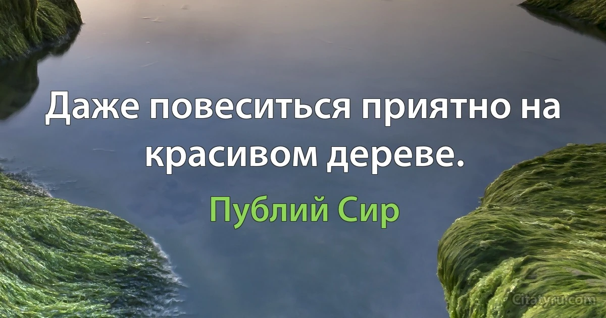 Даже повеситься приятно на красивом дереве. (Публий Сир)