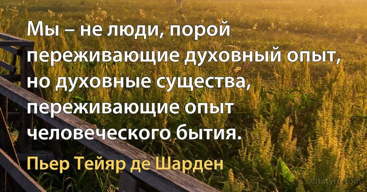 Мы – не люди, порой переживающие духовный опыт, но духовные существа, переживающие опыт человеческого бытия. (Пьер Тейяр де Шарден)