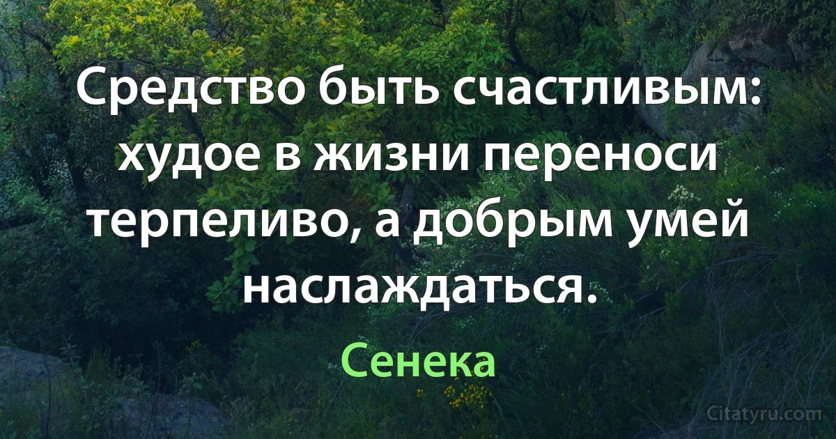 Средство быть счастливым: худое в жизни переноси терпеливо, а добрым умей наслаждаться. (Сенека)