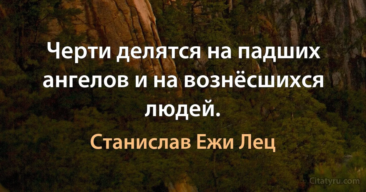 Черти делятся на падших ангелов и на вознёсшихся людей. (Станислав Ежи Лец)