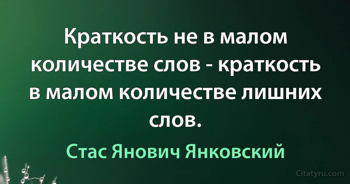 Краткость не в малом количестве слов - краткость в малом количестве лишних слов. (Стас Янович Янковский)