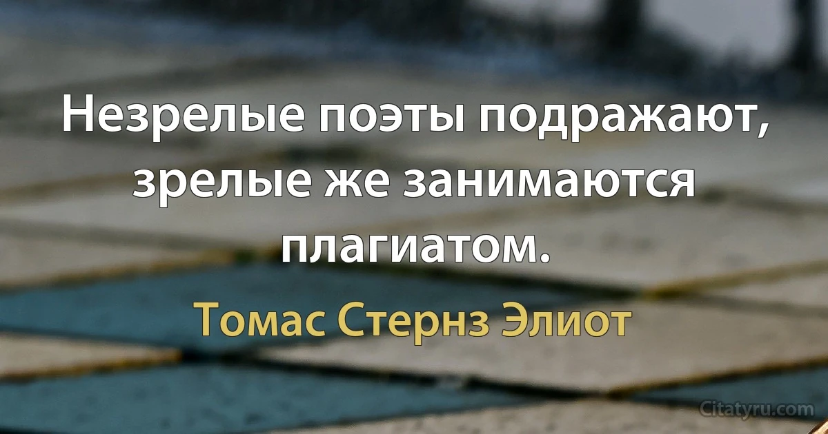 Незрелые поэты подражают, зрелые же занимаются плагиатом. (Томас Стернз Элиот)