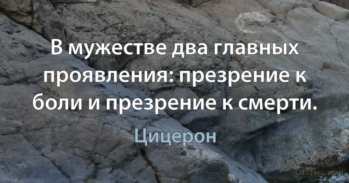 В мужестве два главных проявления: презрение к боли и презрение к смерти. (Цицерон)