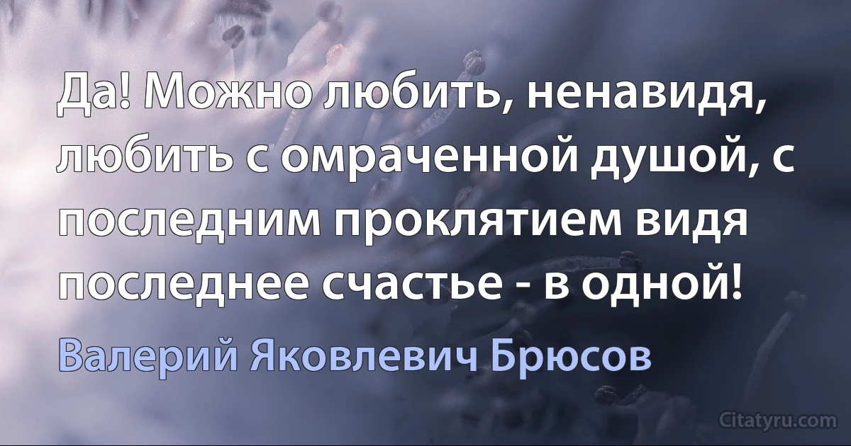 Да! Можно любить, ненавидя, любить с омраченной душой, с последним проклятием видя последнее счастье - в одной! (Валерий Яковлевич Брюсов)