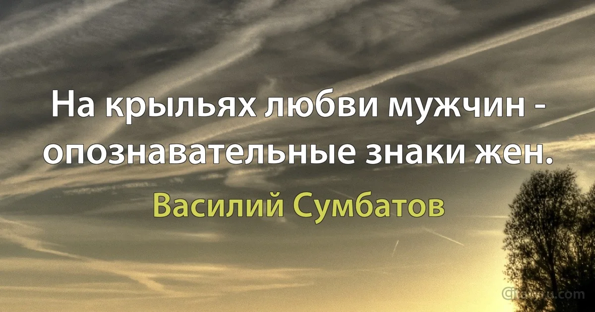 На крыльях любви мужчин - опознавательные знаки жен. (Василий Сумбатов)