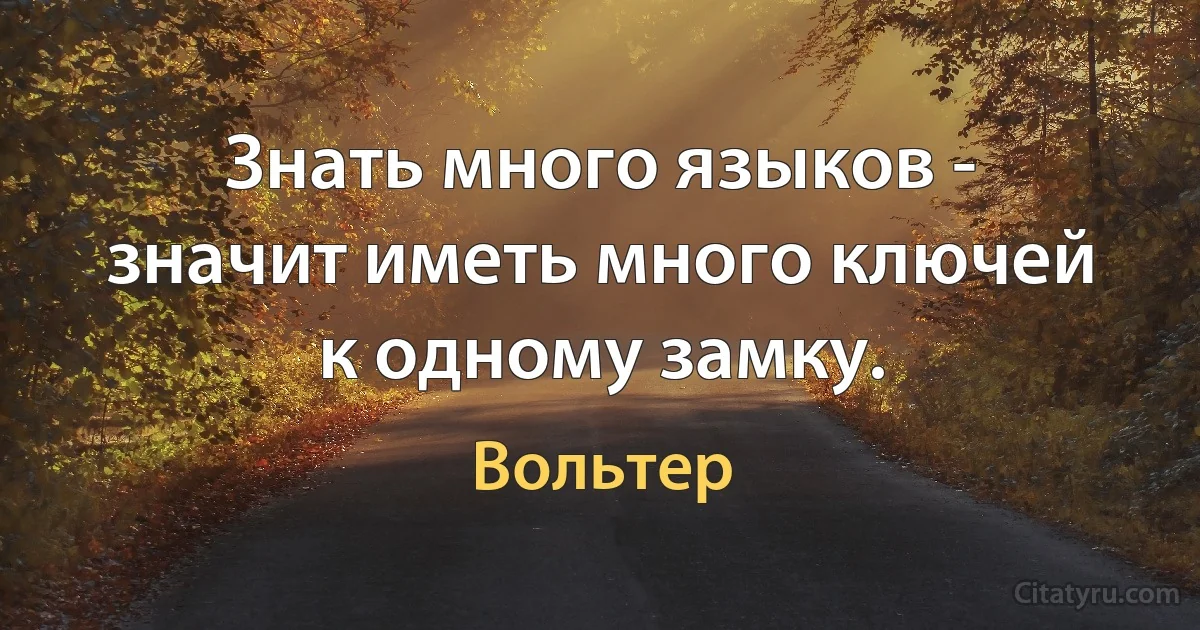 Знать много языков - значит иметь много ключей к одному замку. (Вольтер)