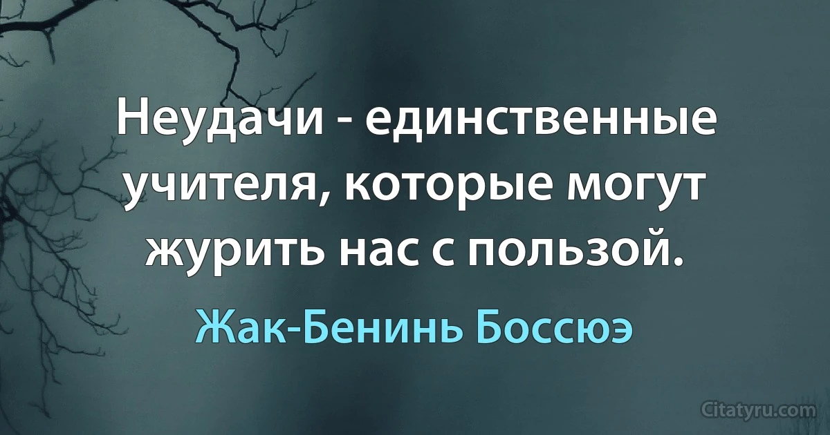 Неудачи - единственные учителя, которые могут журить нас с пользой. (Жак-Бенинь Боссюэ)