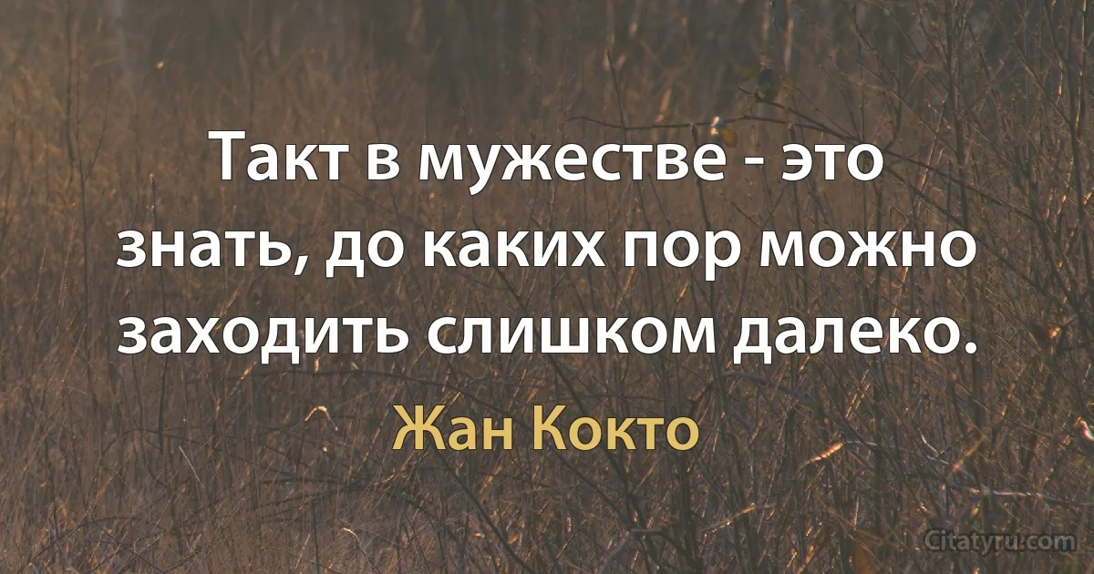 Такт в мужестве - это знать, до каких пор можно заходить слишком далеко. (Жан Кокто)