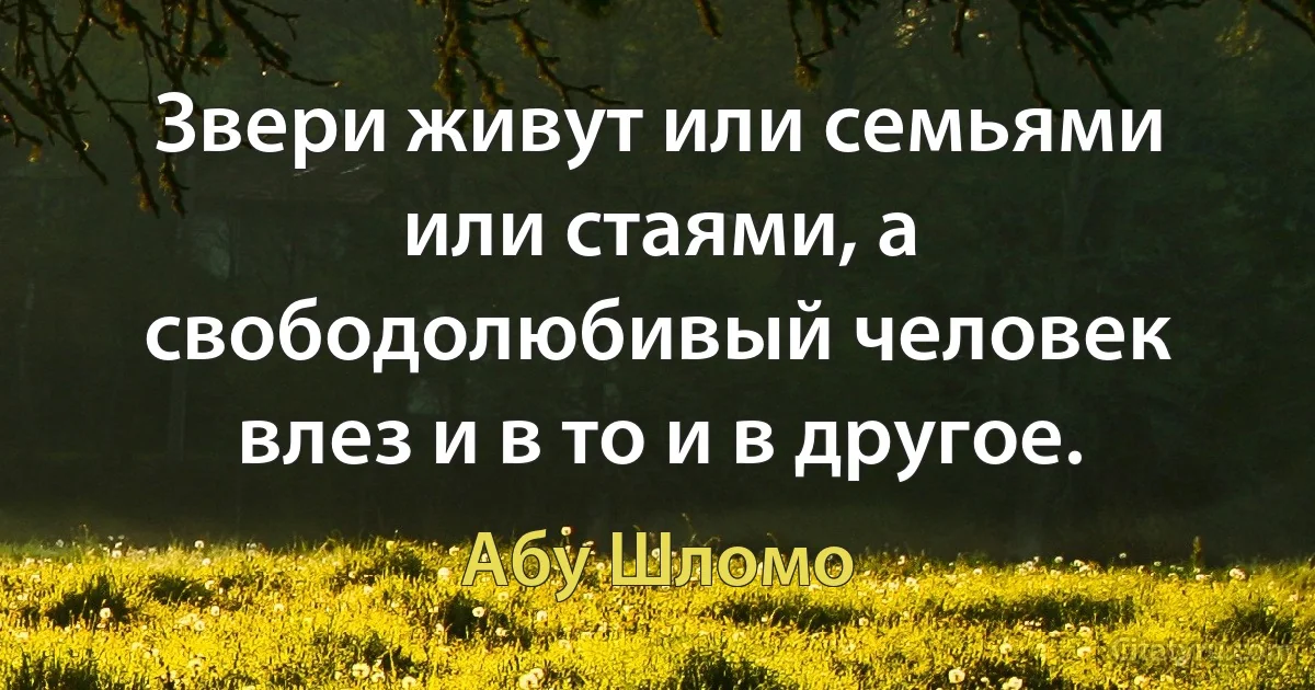 Звери живут или семьями или стаями, а свободолюбивый человек влез и в то и в другое. (Абу Шломо)