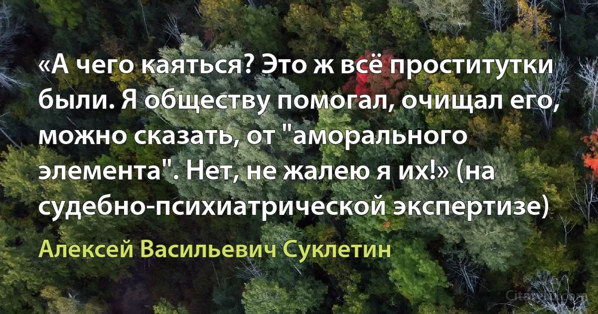 «А чего каяться? Это ж всё проститутки были. Я обществу помогал, очищал его, можно сказать, от "аморального элемента". Нет, не жалею я их!» (на судебно-психиатрической экспертизе) (Алексей Васильевич Суклетин)