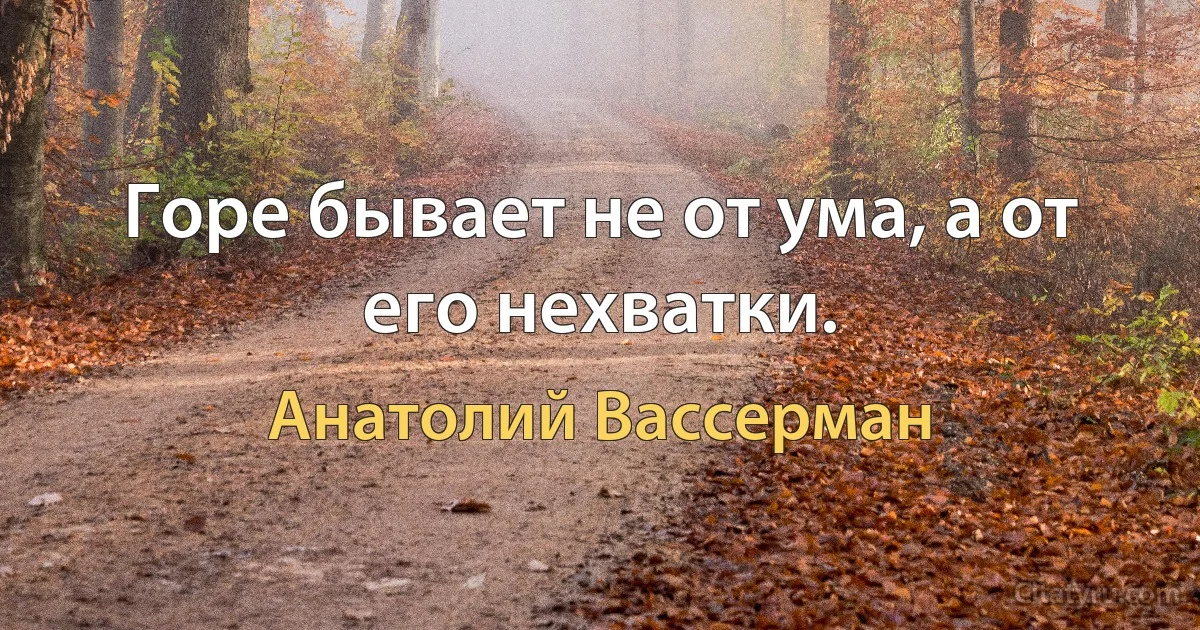 Горе бывает не от ума, а от его нехватки. (Анатолий Вассерман)