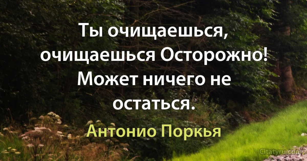 Ты очищаешься, очищаешься Осторожно! Может ничего не остаться. (Антонио Поркья)