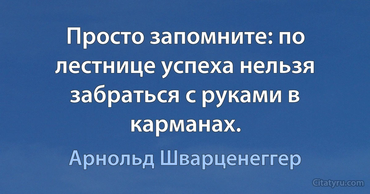 Просто запомните: по лестнице успеха нельзя забраться с руками в карманах. (Арнольд Шварценеггер)