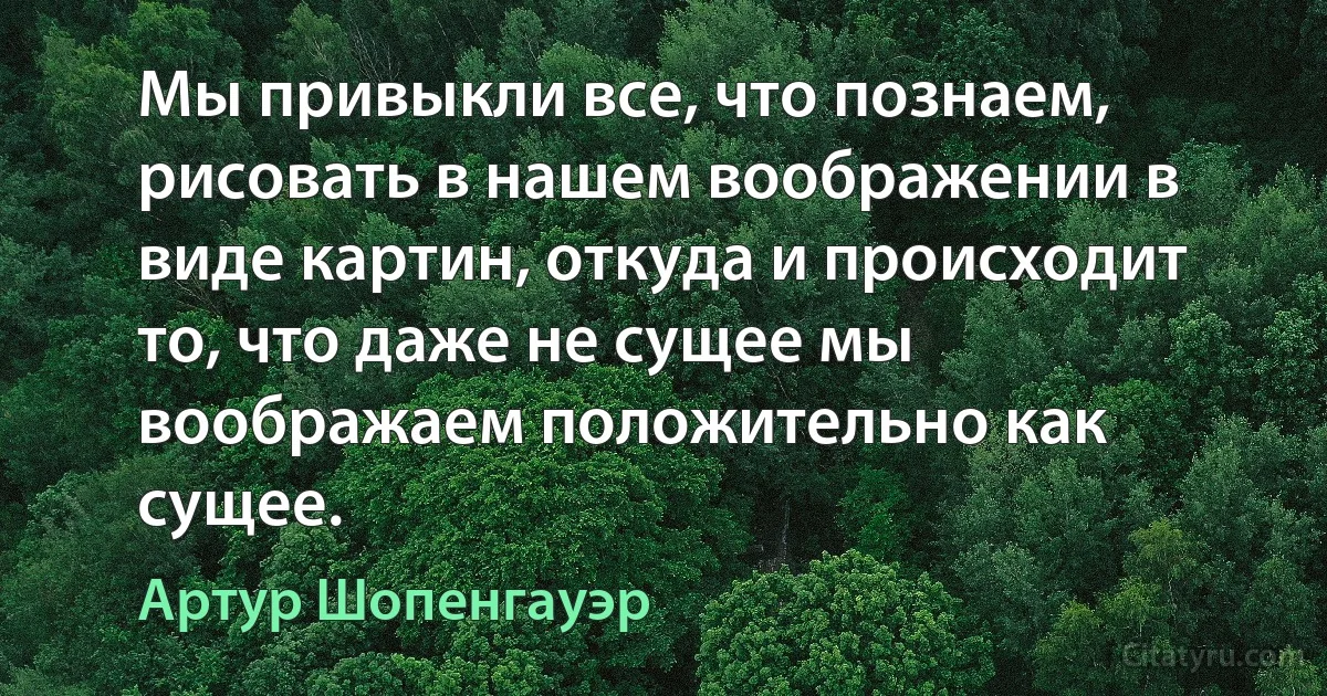 Мы привыкли все, что познаем, рисовать в нашем воображении в виде картин, откуда и происходит то, что даже не сущее мы воображаем положительно как сущее. (Артур Шопенгауэр)