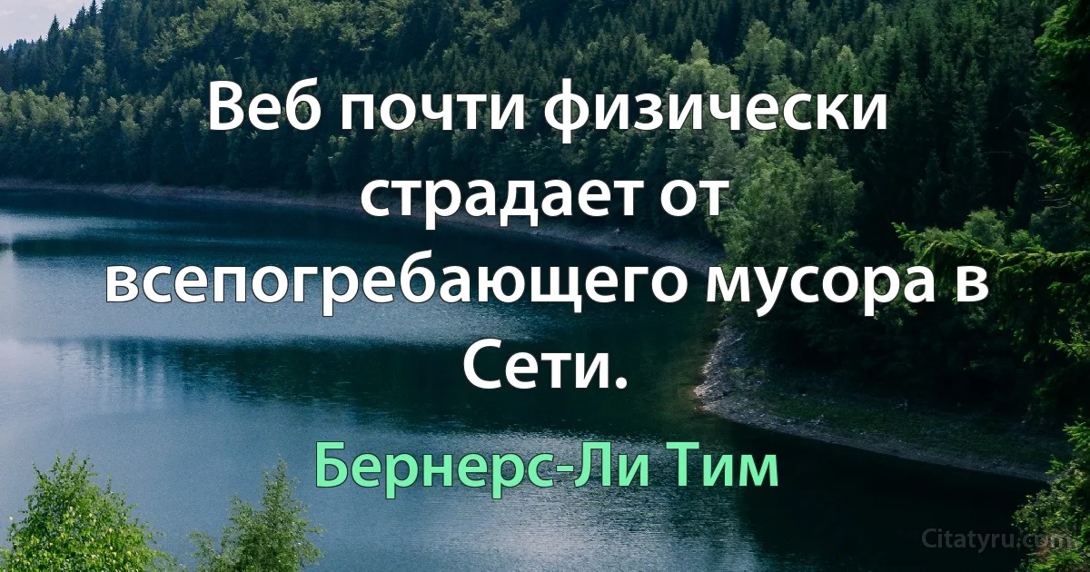 Веб почти физически страдает от всепогребающего мусора в Сети. (Бернерс-Ли Тим)