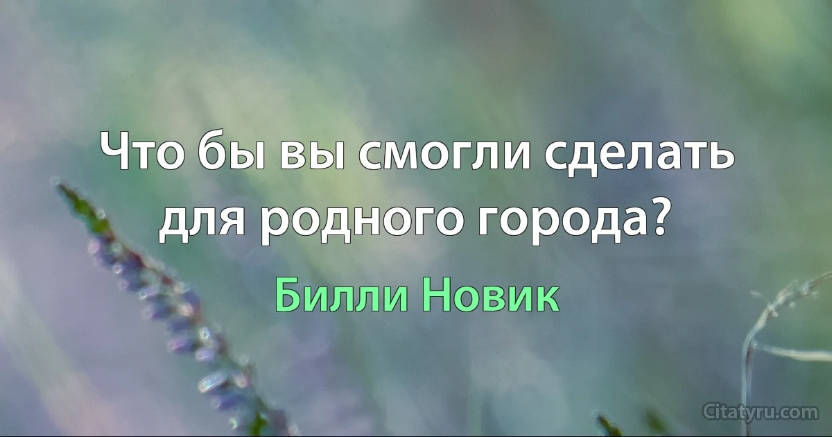 Что бы вы смогли сделать для родного города? (Билли Новик)