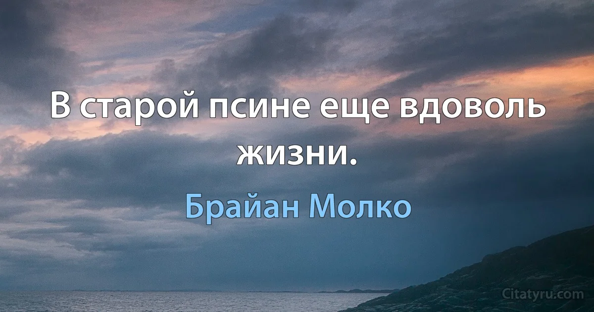 В старой псине еще вдоволь жизни. (Брайан Молко)