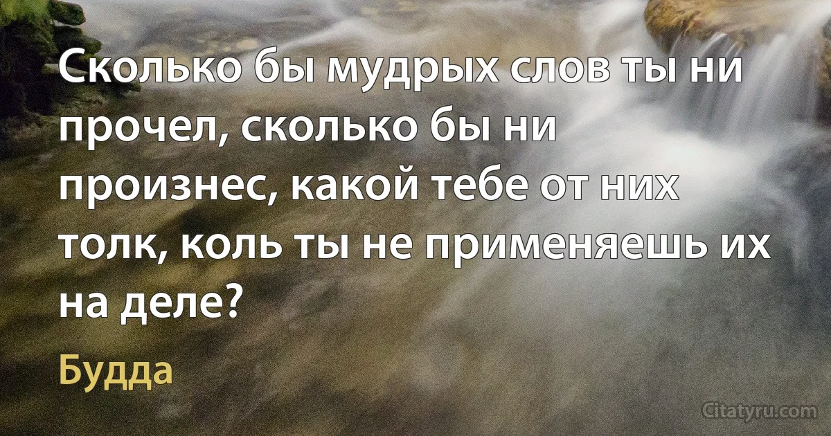 Сколько бы мудрых слов ты ни прочел, сколько бы ни произнес, какой тебе от них толк, коль ты не применяешь их на деле? (Будда)