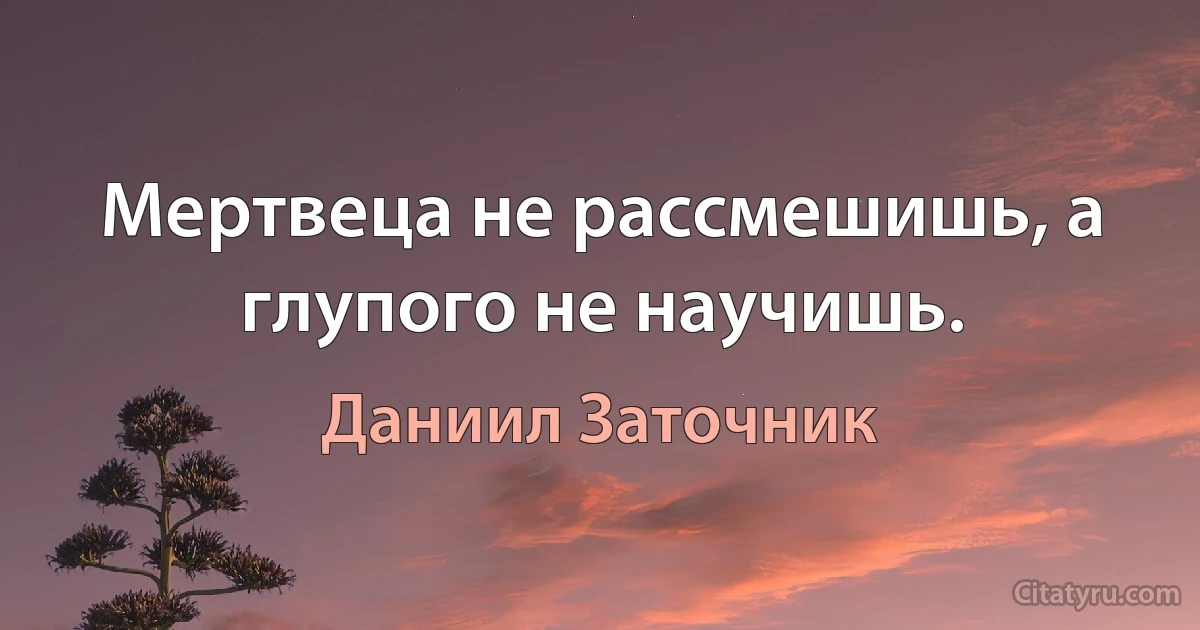 Мертвеца не рассмешишь, а глупого не научишь. (Даниил Заточник)