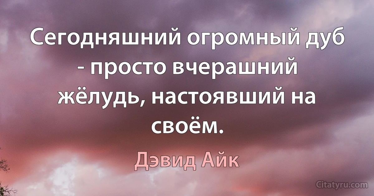 Сегодняшний огромный дуб - просто вчерашний жёлудь, настоявший на своём. (Дэвид Айк)