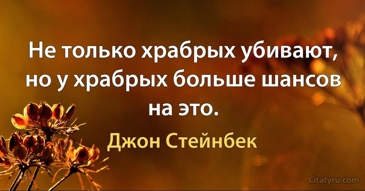 Не только храбрых убивают, но у храбрых больше шансов на это. (Джон Стейнбек)