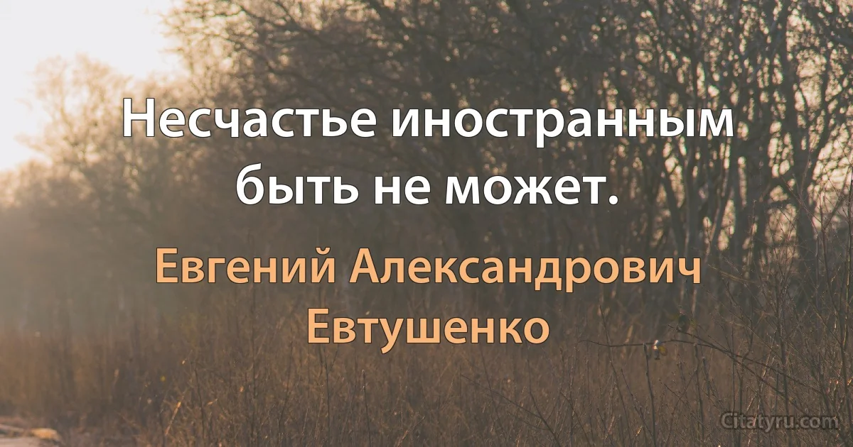 Несчастье иностранным быть не может. (Евгений Александрович Евтушенко)