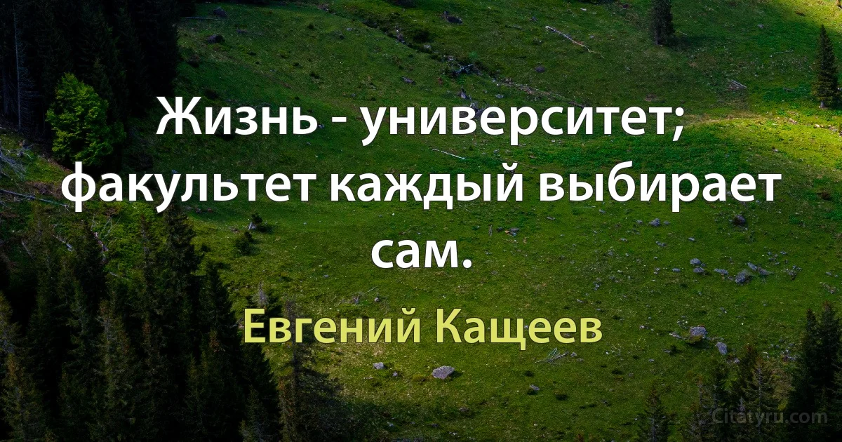 Жизнь - университет; факультет каждый выбирает сам. (Евгений Кащеев)