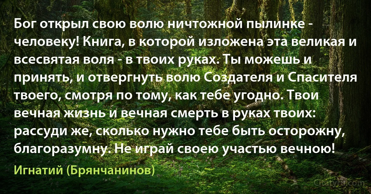 Бог открыл свою волю ничтожной пылинке - человеку! Книга, в которой изложена эта великая и всесвятая воля - в твоих руках. Ты можешь и принять, и отвергнуть волю Создателя и Спасителя твоего, смотря по тому, как тебе угодно. Твои вечная жизнь и вечная смерть в руках твоих: рассуди же, сколько нужно тебе быть осторожну, благоразумну. Не играй своею участью вечною! (Игнатий (Брянчанинов))