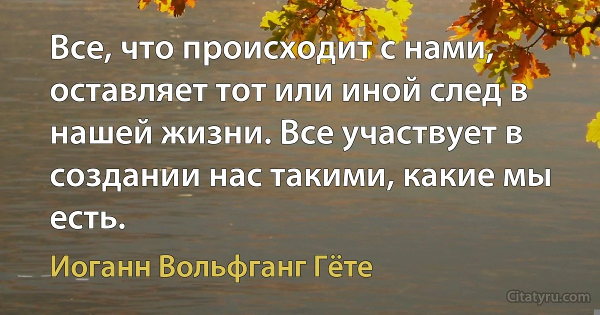 Все, что происходит с нами, оставляет тот или иной след в нашей жизни. Все участвует в создании нас такими, какие мы есть. (Иоганн Вольфганг Гёте)