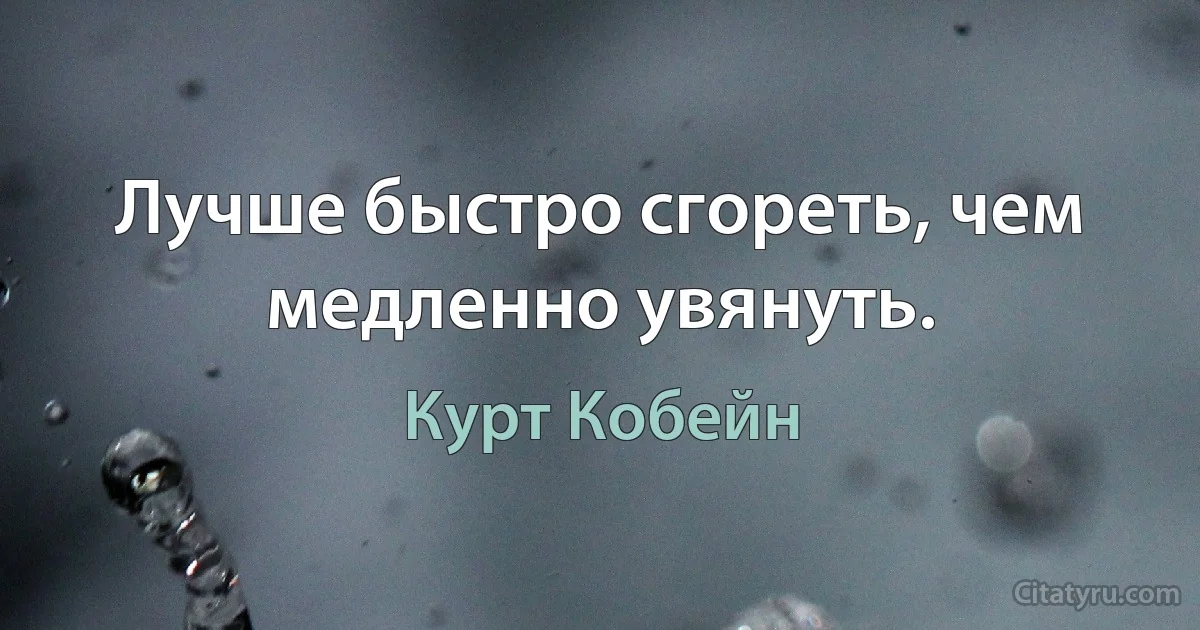 Лучше быстро сгореть, чем медленно увянуть. (Курт Кобейн)