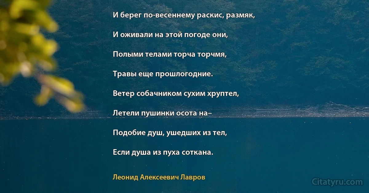 И берег по-весеннему раскис, размяк,

И оживали на этой погоде они,

Полыми телами торча торчмя,

Травы еще прошлогодние.

Ветер собачником сухим хруптел,

Летели пушинки осота на–

Подобие душ, ушедших из тел,

Если душа из пуха соткана. (Леонид Алексеевич Лавров)