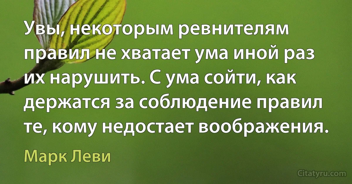 Увы, некоторым ревнителям правил не хватает ума иной раз их нарушить. С ума сойти, как держатся за соблюдение правил те, кому недостает воображения. (Марк Леви)