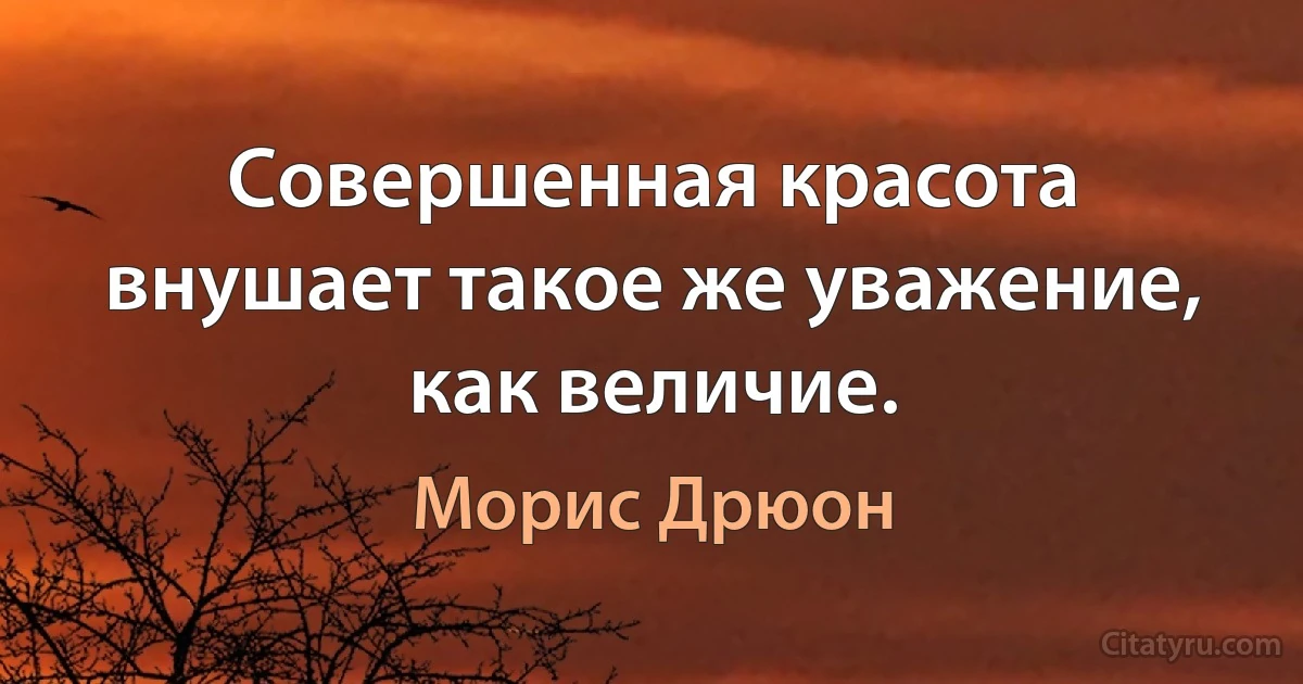 Совершенная красота внушает такое же уважение, как величие. (Морис Дрюон)