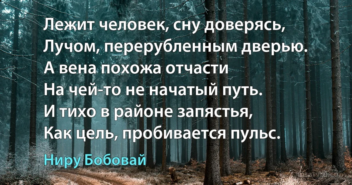 Лежит человек, сну доверясь,
Лучом, перерубленным дверью.
А вена похожа отчасти
На чей-то не начатый путь.
И тихо в районе запястья,
Как цель, пробивается пульс. (Ниру Бобовай)