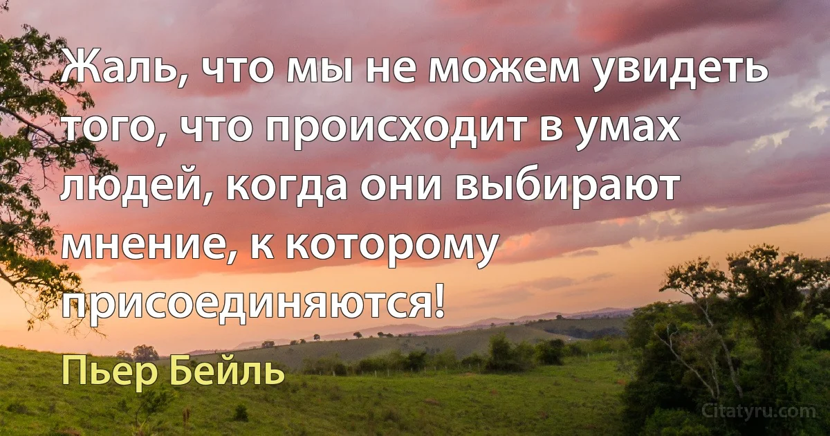 Жаль, что мы не можем увидеть того, что происходит в умах людей, когда они выбирают мнение, к которому присоединяются! (Пьер Бейль)