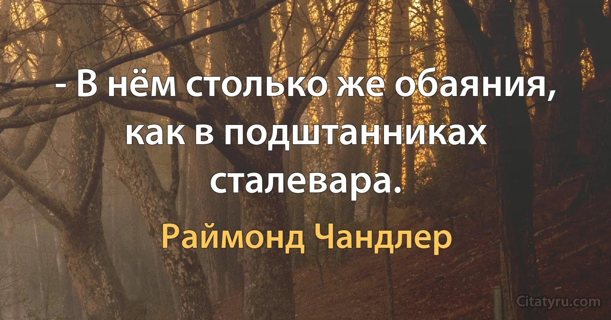 - В нём столько же обаяния, как в подштанниках сталевара. (Раймонд Чандлер)