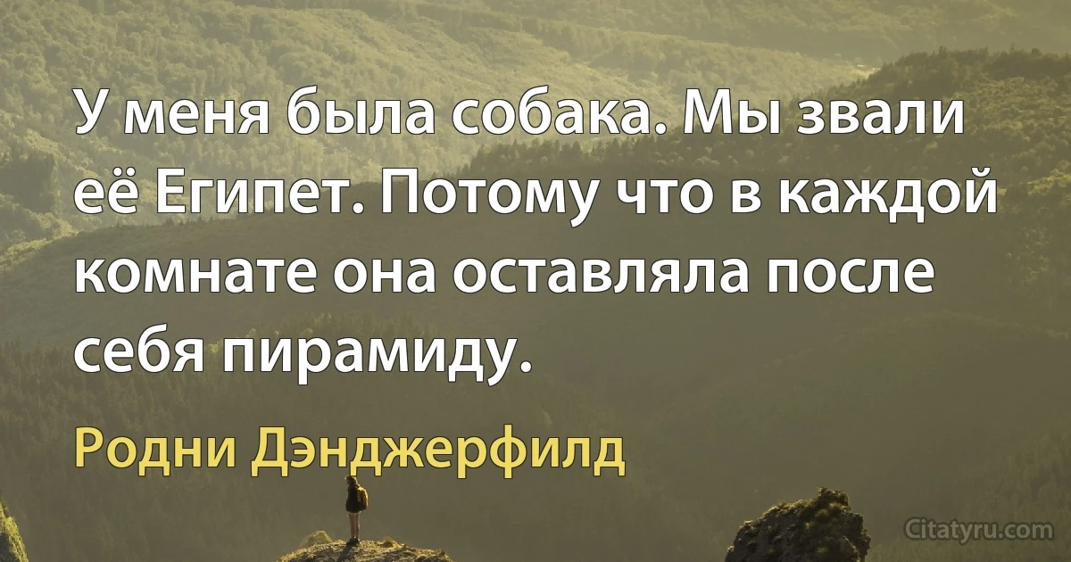 У меня была собака. Мы звали её Египет. Потому что в каждой комнате она оставляла после себя пирамиду. (Родни Дэнджерфилд)