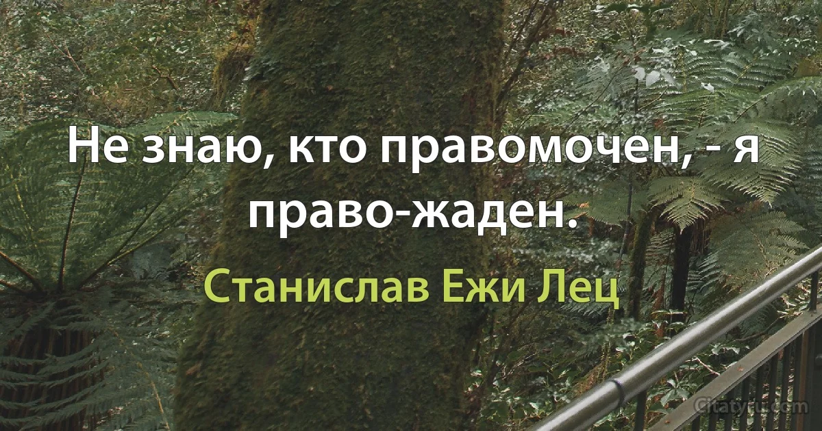 Не знаю, кто правомочен, - я право-жаден. (Станислав Ежи Лец)