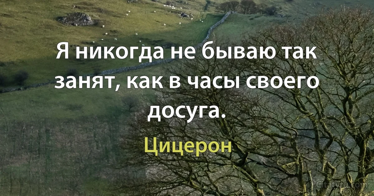 Я никогда не бываю так занят, как в часы своего досуга. (Цицерон)