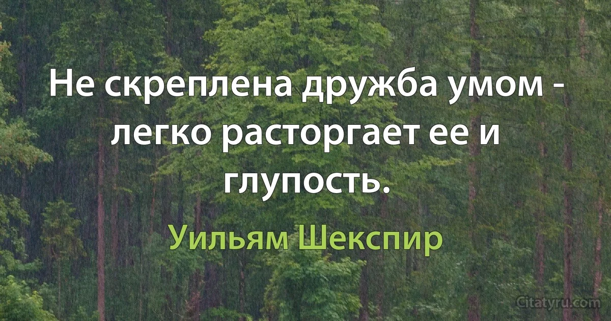 Не скреплена дружба умом - легко расторгает ее и глупость. (Уильям Шекспир)