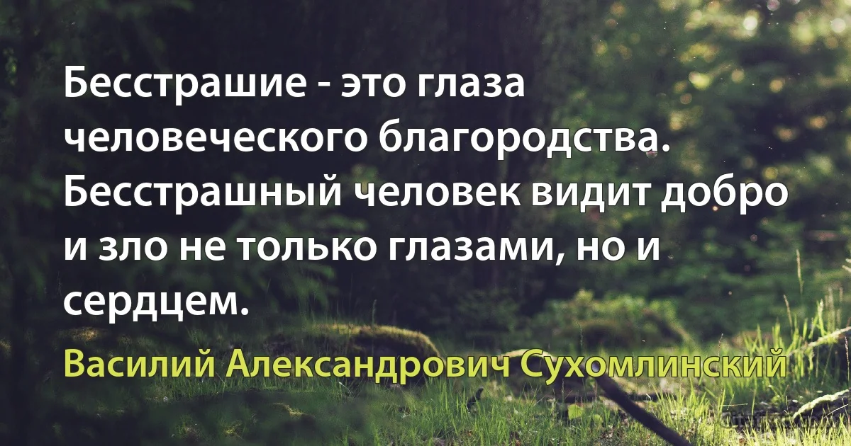 Бесстрашие - это глаза человеческого благородства. Бесстрашный человек видит добро и зло не только глазами, но и сердцем. (Василий Александрович Сухомлинский)