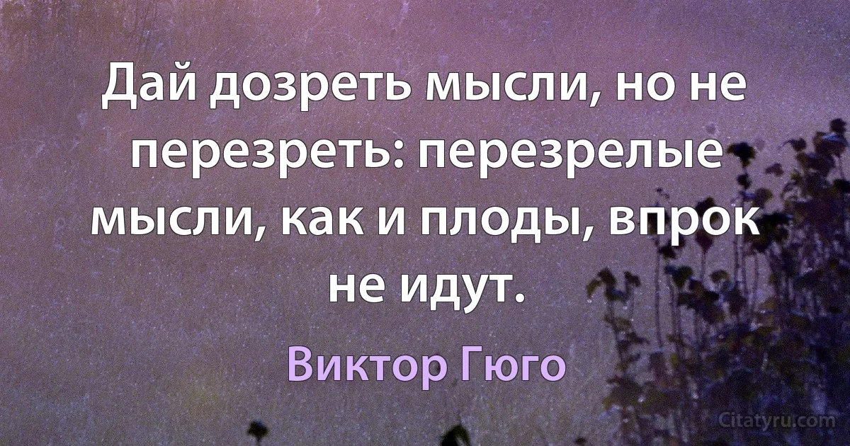 Дай дозреть мысли, но не перезреть: перезрелые мысли, как и плоды, впрок не идут. (Виктор Гюго)