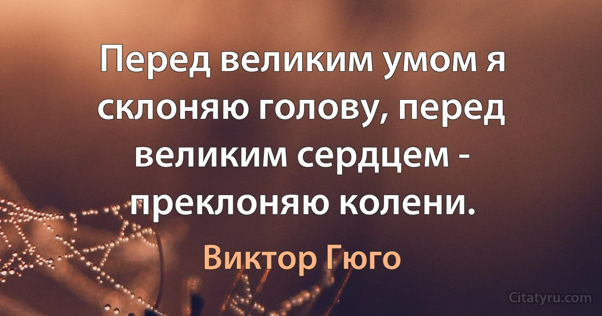 Перед великим умом я склоняю голову, перед великим сердцем - преклоняю колени. (Виктор Гюго)