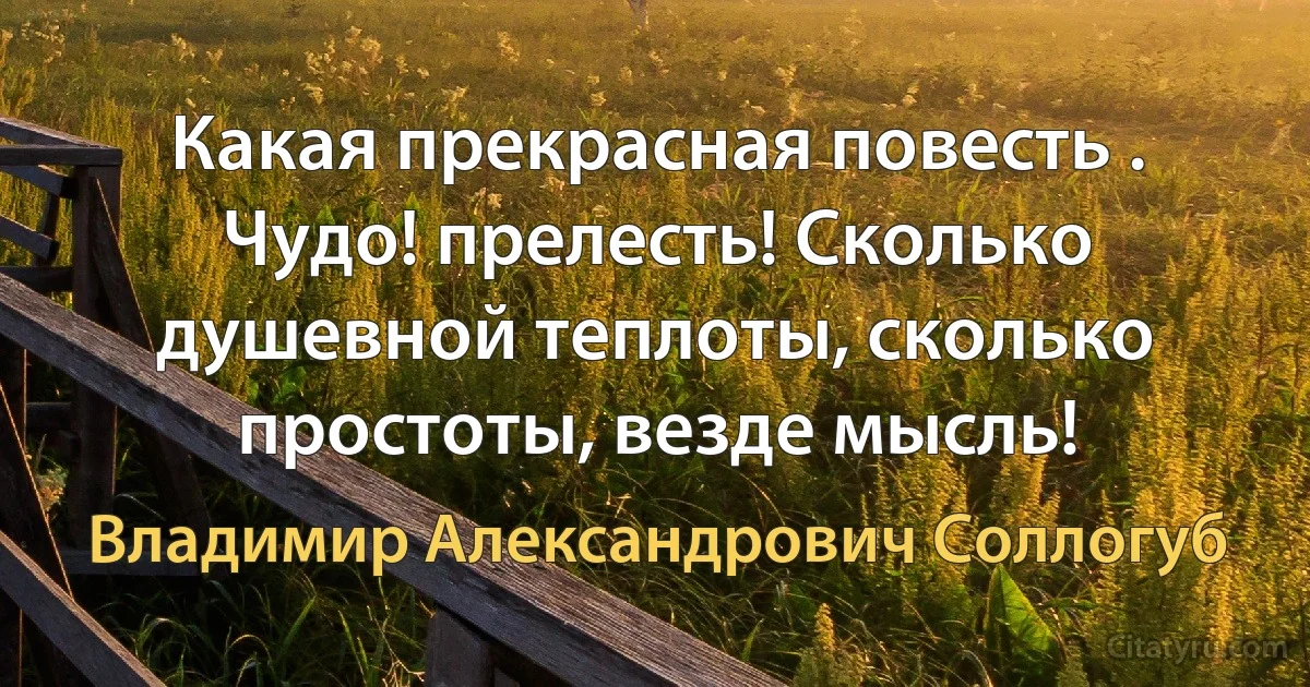 Какая прекрасная повесть . Чудо! прелесть! Сколько душевной теплоты, сколько простоты, везде мысль! (Владимир Александрович Соллогуб)