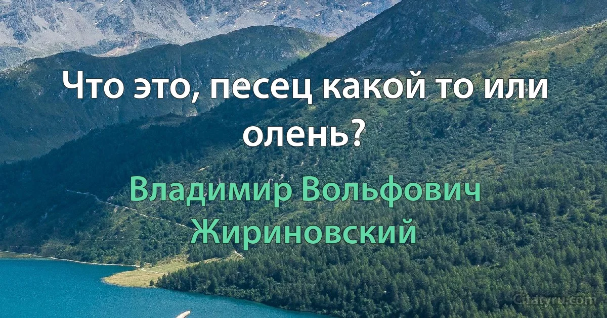 Что это, песец какой то или олень? (Владимир Вольфович Жириновский)