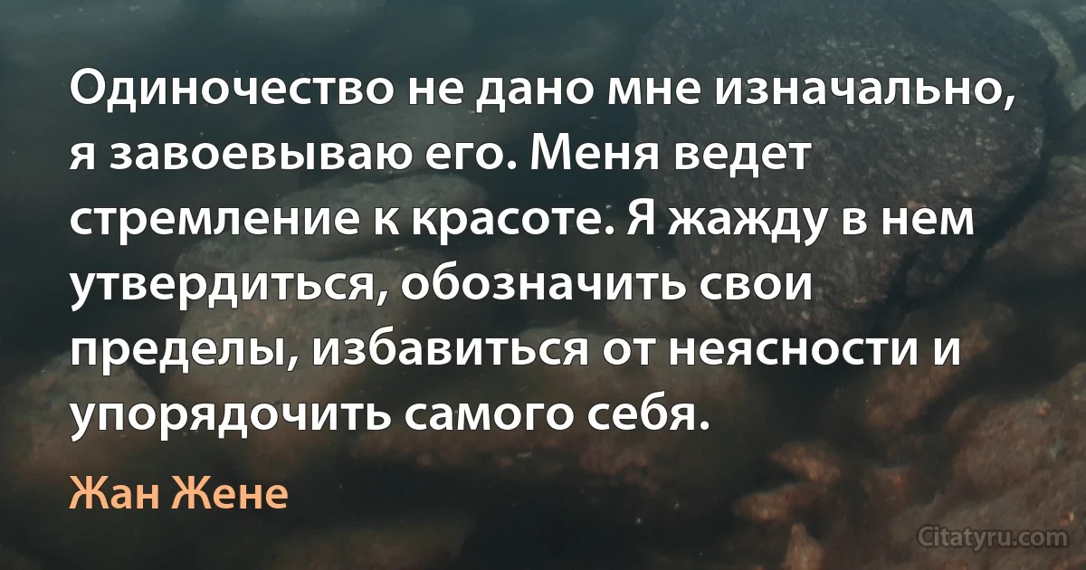 Одиночество не дано мне изначально, я завоевываю его. Меня ведет стремление к красоте. Я жажду в нем утвердиться, обозначить свои пределы, избавиться от неясности и упорядочить самого себя. (Жан Жене)