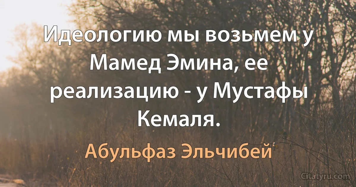 Идеологию мы возьмем у Мамед Эмина, ее реализацию - у Мустафы Кемаля. (Абульфаз Эльчибей)